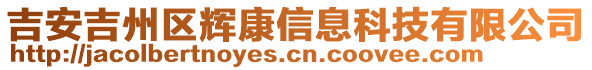 吉安吉州區(qū)輝康信息科技有限公司