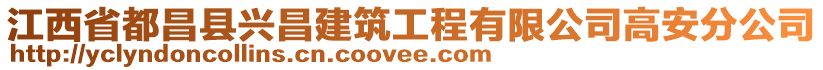 江西省都昌縣興昌建筑工程有限公司高安分公司