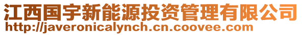 江西國宇新能源投資管理有限公司