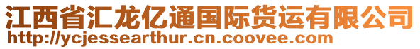 江西省匯龍億通國際貨運(yùn)有限公司