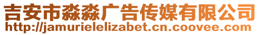 吉安市淼淼广告传媒有限公司