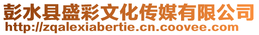 彭水縣盛彩文化傳媒有限公司