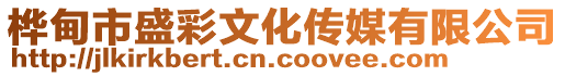 樺甸市盛彩文化傳媒有限公司