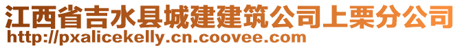 江西省吉水縣城建建筑公司上栗分公司