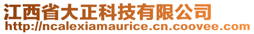 江西省大正科技有限公司