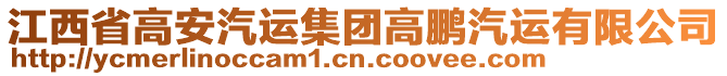 江西省高安汽運(yùn)集團(tuán)高鵬汽運(yùn)有限公司