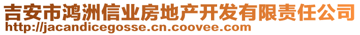 吉安市鴻洲信業(yè)房地產(chǎn)開發(fā)有限責(zé)任公司