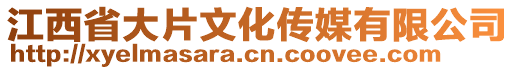 江西省大片文化傳媒有限公司