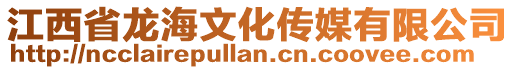 江西省龍海文化傳媒有限公司