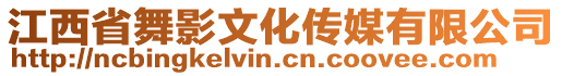 江西省舞影文化傳媒有限公司