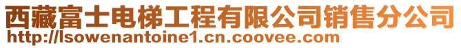 西藏富士電梯工程有限公司銷(xiāo)售分公司