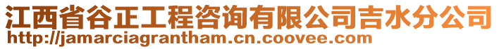 江西省谷正工程咨詢有限公司吉水分公司