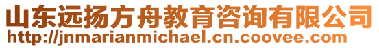 山東遠揚方舟教育咨詢有限公司