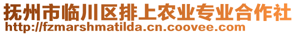 撫州市臨川區(qū)排上農(nóng)業(yè)專業(yè)合作社