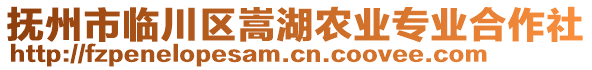撫州市臨川區(qū)嵩湖農(nóng)業(yè)專業(yè)合作社