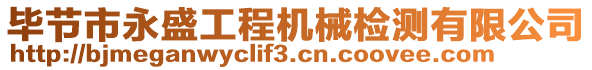 畢節(jié)市永盛工程機(jī)械檢測(cè)有限公司