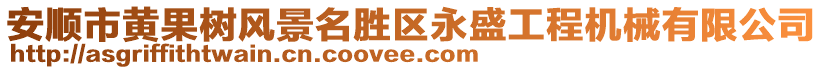 安順市黃果樹風(fēng)景名勝區(qū)永盛工程機(jī)械有限公司