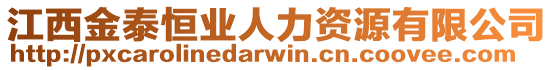江西金泰恒業人力資源有限公司