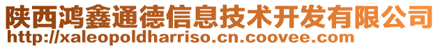 陜西鴻鑫通德信息技術(shù)開發(fā)有限公司