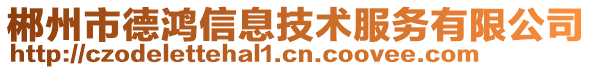 郴州市德鴻信息技術(shù)服務(wù)有限公司