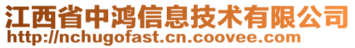 江西省中鴻信息技術(shù)有限公司