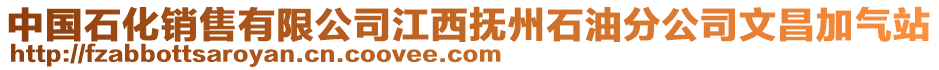 中國(guó)石化銷售有限公司江西撫州石油分公司文昌加氣站