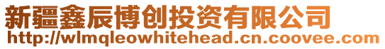 新疆鑫辰博創投資有限公司