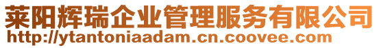 萊陽輝瑞企業管理服務有限公司