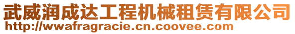 武威潤成達工程機械租賃有限公司