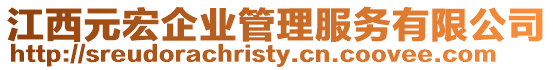 江西元宏企業(yè)管理服務(wù)有限公司