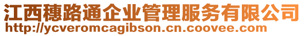 江西穗路通企業(yè)管理服務(wù)有限公司