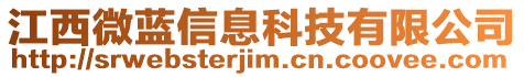 江西微藍(lán)信息科技有限公司