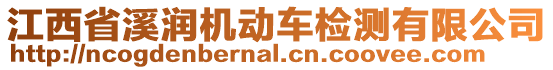 江西省溪潤機動車檢測有限公司