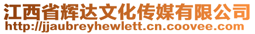江西省輝達文化傳媒有限公司