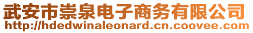 武安市崇泉電子商務(wù)有限公司