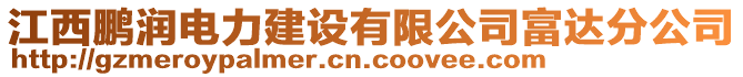 江西鵬潤電力建設(shè)有限公司富達分公司