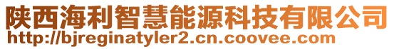 陜西海利智慧能源科技有限公司