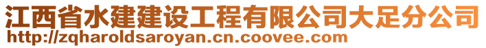 江西省水建建设工程有限公司大足分公司