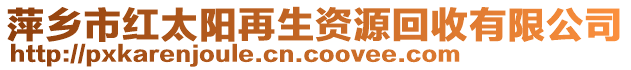 萍鄉(xiāng)市紅太陽再生資源回收有限公司