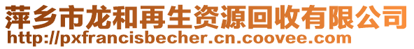 萍鄉(xiāng)市龍和再生資源回收有限公司