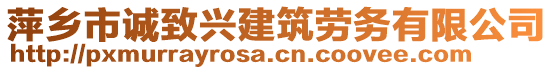 萍鄉(xiāng)市誠致興建筑勞務(wù)有限公司