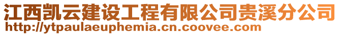 江西凱云建設工程有限公司貴溪分公司