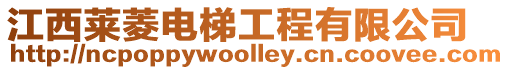 江西萊菱電梯工程有限公司