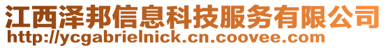 江西澤邦信息科技服務有限公司