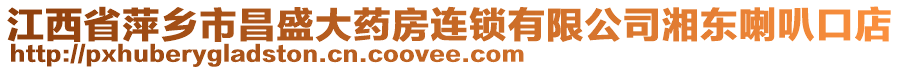 江西省萍鄉(xiāng)市昌盛大藥房連鎖有限公司湘東喇叭口店