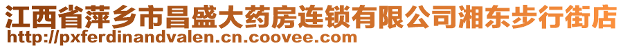 江西省萍鄉(xiāng)市昌盛大藥房連鎖有限公司湘東步行街店