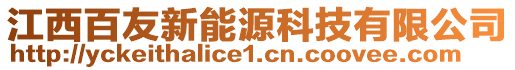 江西百友新能源科技有限公司