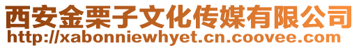 西安金栗子文化傳媒有限公司