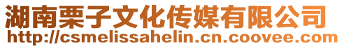 湖南栗子文化傳媒有限公司