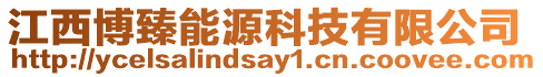 江西博臻能源科技有限公司